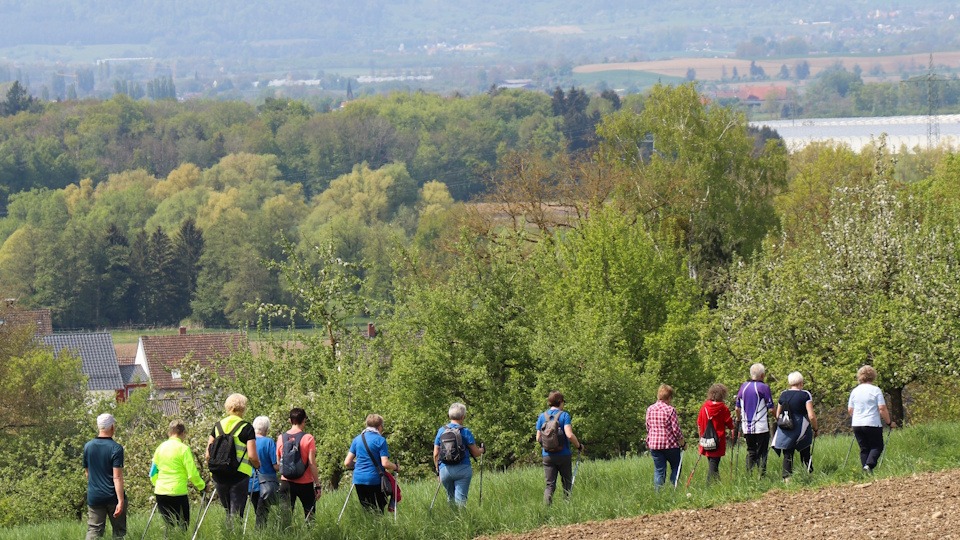 Seniorensporttag - dieses Jahr in Markelfingen